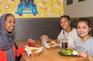 sharing the den with other students